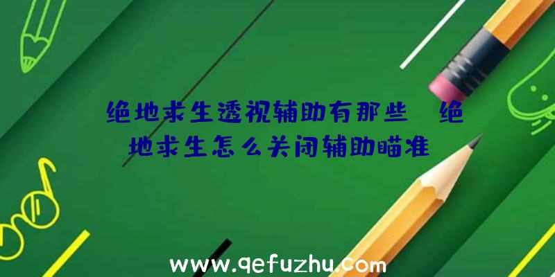 「绝地求生透视辅助有那些」|绝地求生怎么关闭辅助瞄准